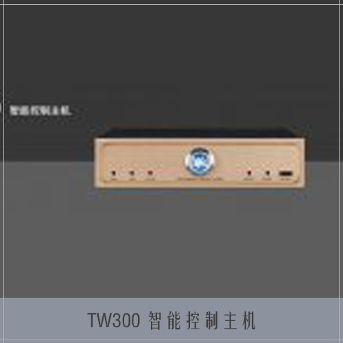 TW300 智能控制主机